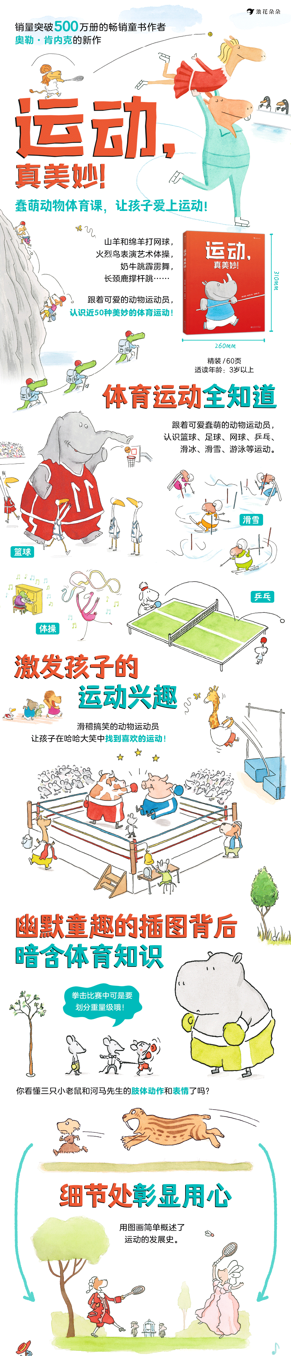 篮球绘本规则比赛图片_篮球主题绘本_篮球比赛规则绘本