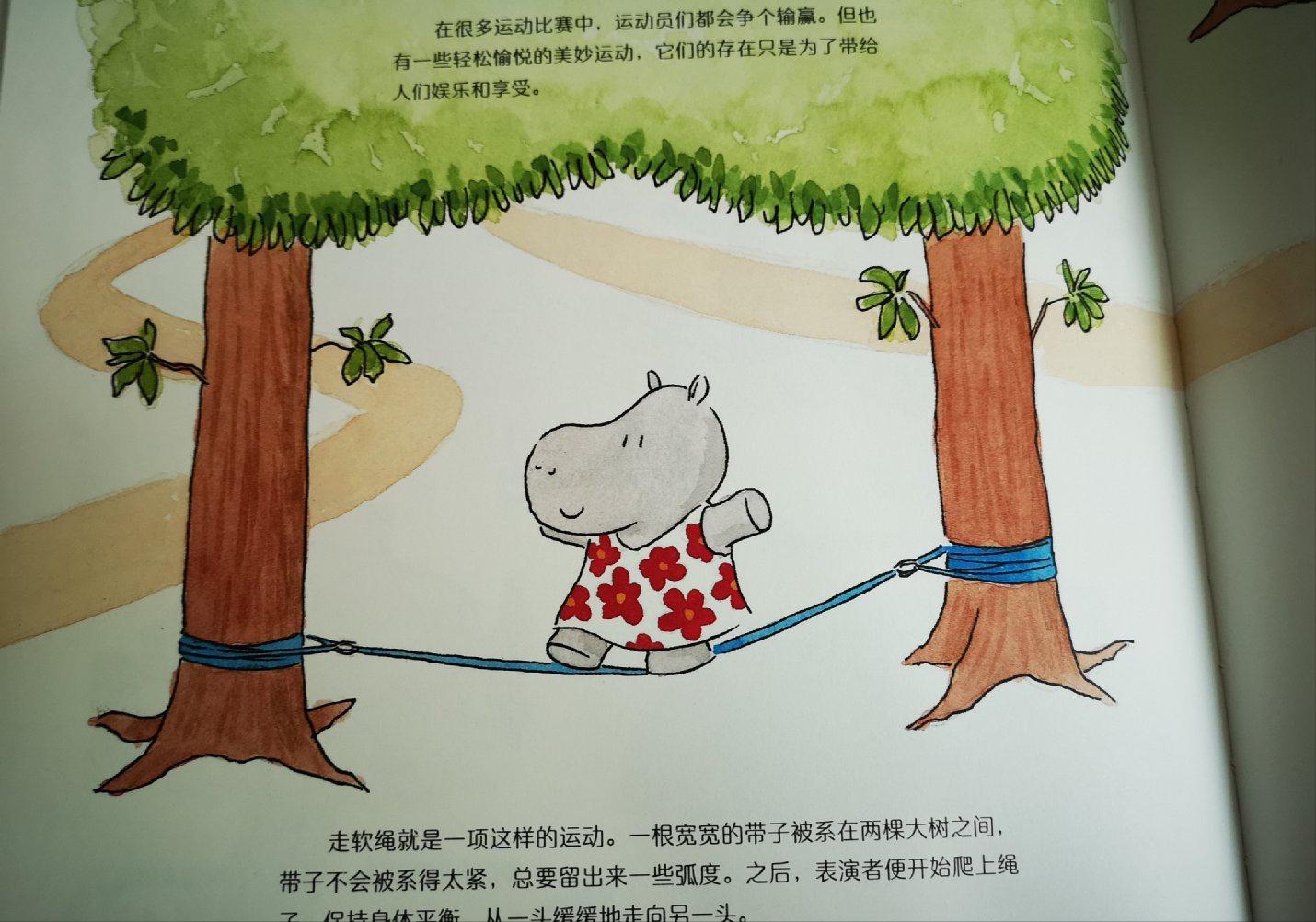 篮球绘本规则比赛图片_篮球比赛规则绘本_篮球主题绘本