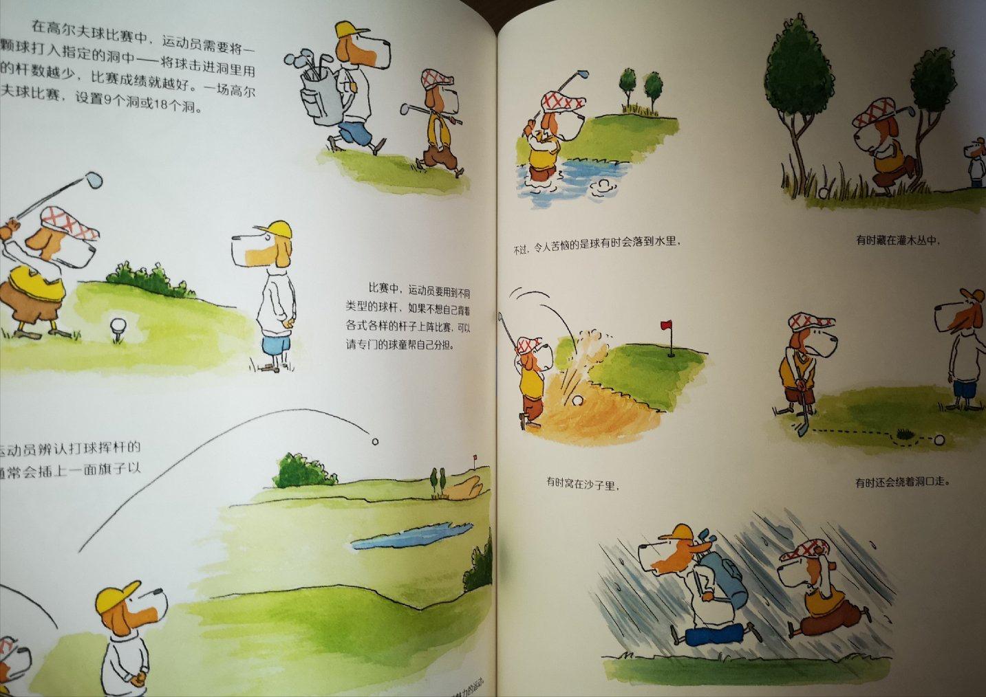 篮球绘本规则比赛图片_篮球比赛规则绘本_篮球主题绘本