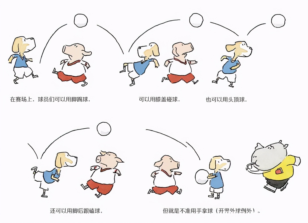 篮球比赛规则绘本_篮球主题绘本_篮球绘本规则比赛图片