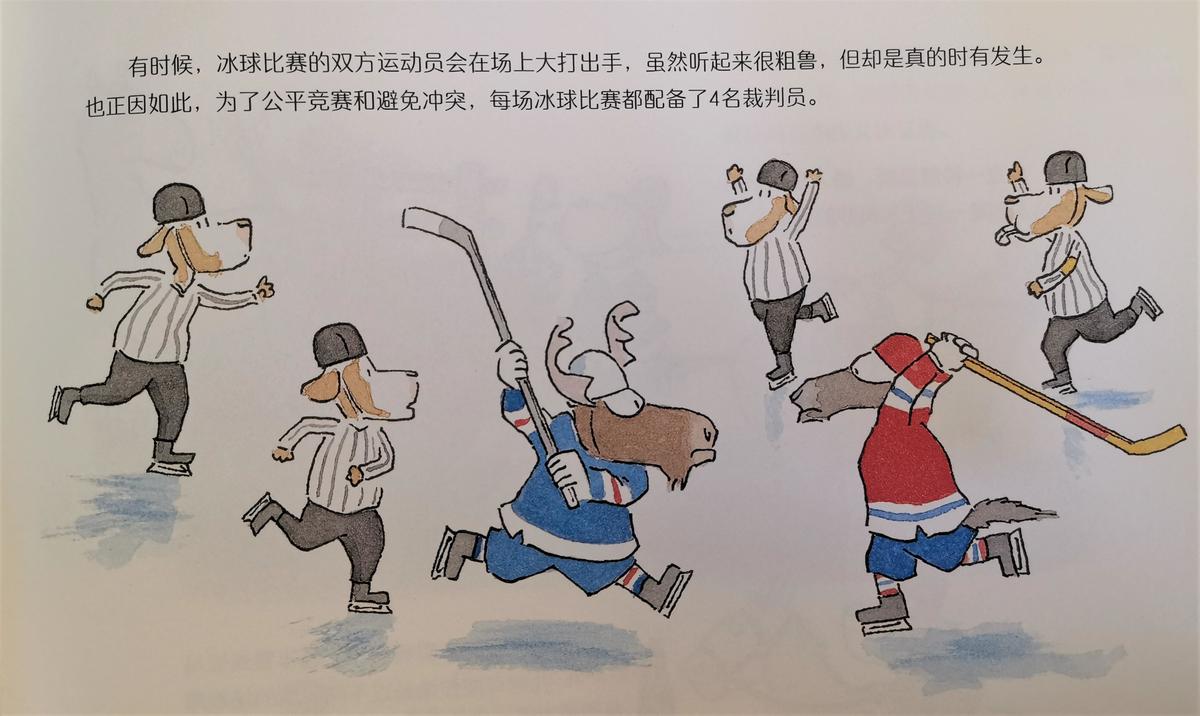 篮球绘本规则比赛图片_篮球主题绘本_篮球比赛规则绘本