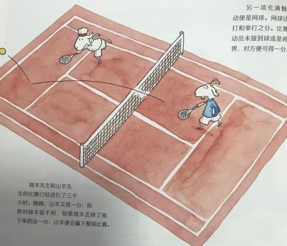 篮球主题绘本_篮球绘本规则比赛图片_篮球比赛规则绘本