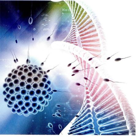 科学怎样改变了我们的生活实例_举一个科学改变生活的事例_科学家改变生活方式的例子