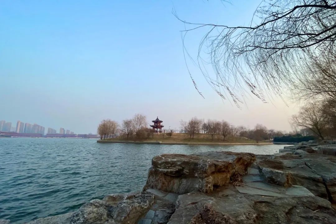 足球假球最多的联赛_足球历史 假球排行_足球假球排名