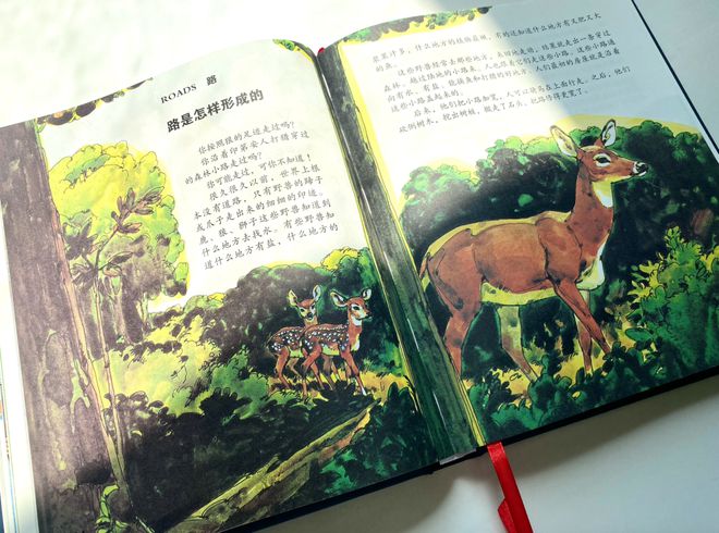 百科常识宝典法律生活法则_法律生活常识百科宝典_秒懂百科法律常识