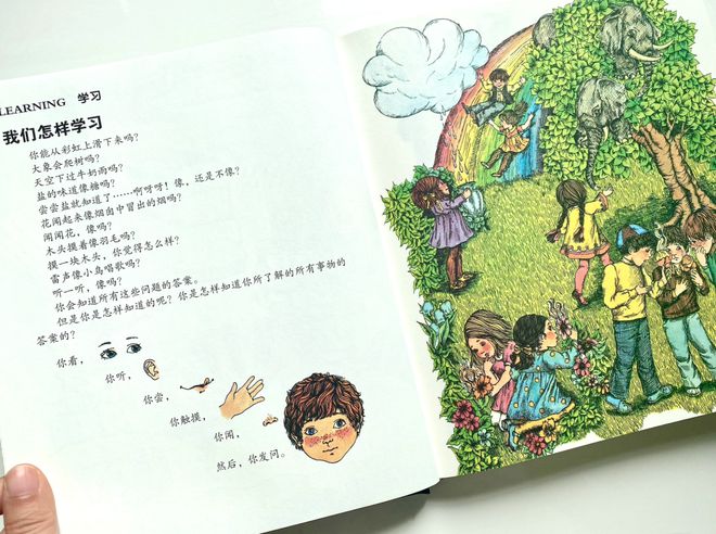 百科常识宝典法律生活法则_秒懂百科法律常识_法律生活常识百科宝典