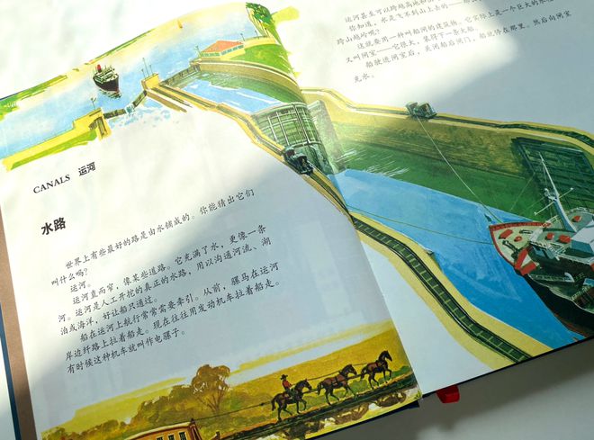 秒懂百科法律常识_百科常识宝典法律生活法则_法律生活常识百科宝典
