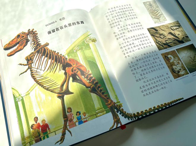 百科常识宝典法律生活法则_秒懂百科法律常识_法律生活常识百科宝典