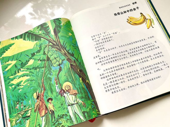 百科常识宝典法律生活法则_法律生活常识百科宝典_秒懂百科法律常识