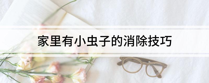 生活小技巧小虫_小虫子日常生活_小虫技巧生活小妙招视频