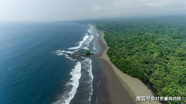 南非黑人游泳冠军是谁_南非黑人游泳冠军_非洲黑人游泳